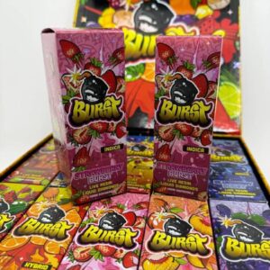 Wholesale Burst Disposable